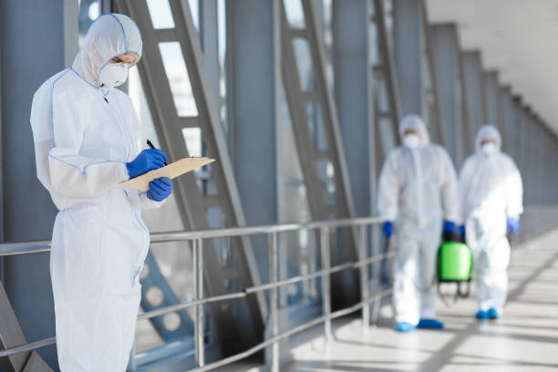 Mold Remediation for Vacation Homes in Punxsutawney, PA